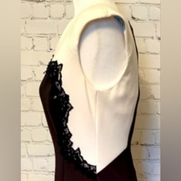 Beautiful tailored dress with Lace inset size 8 - Picture 6 of 8